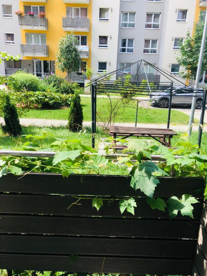 Brasov 3C Delux Lägenhet Exteriör bild